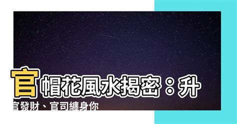 官帽花風水|【官帽煞如何化解】化解官帽煞，官運亨通不訟災